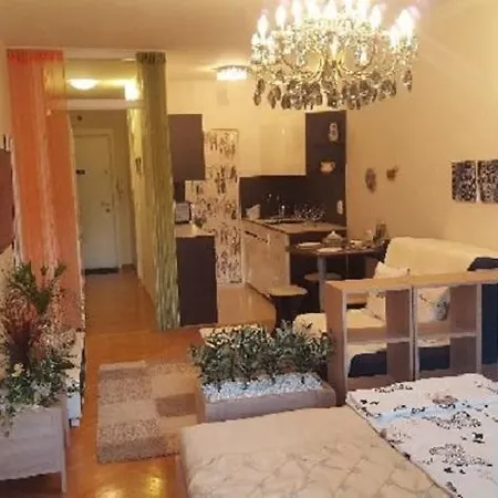 Apartman D&m Apartment, Walk To Downtown Centre Ljubljana